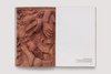 Clementine Keith Roach Christopher Page Earth Sky Body Ruins Exhibition Catalogue 4