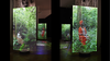 Installation View: Phoebe Boswell, A Tree Says (In These Boughs The World Rustles), 2023, Orleans House, Twickenham