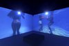 Installation View: Phoebe Boswell, Dwelling, 2022, Lyon Biennale, Lyon