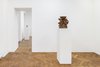 Installation View RODIN MOORE KEITH ROACH WHITEREAD Ben Hunter 7
